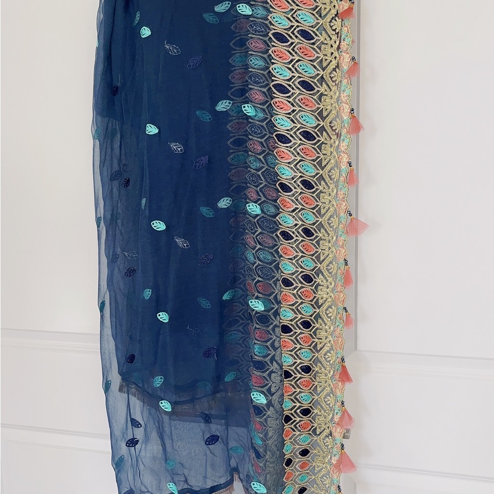 Multicolor Embroidered Maxi Dress with Navy Dupatta - - Picture 6 of 6